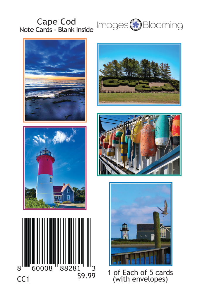 Cape Cod Note Cards