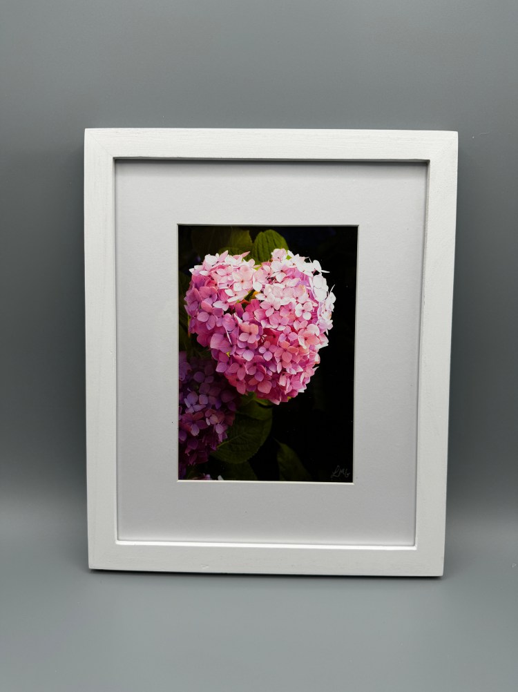 Side Pink Heart-Shaped Hydrangea -Framed Print