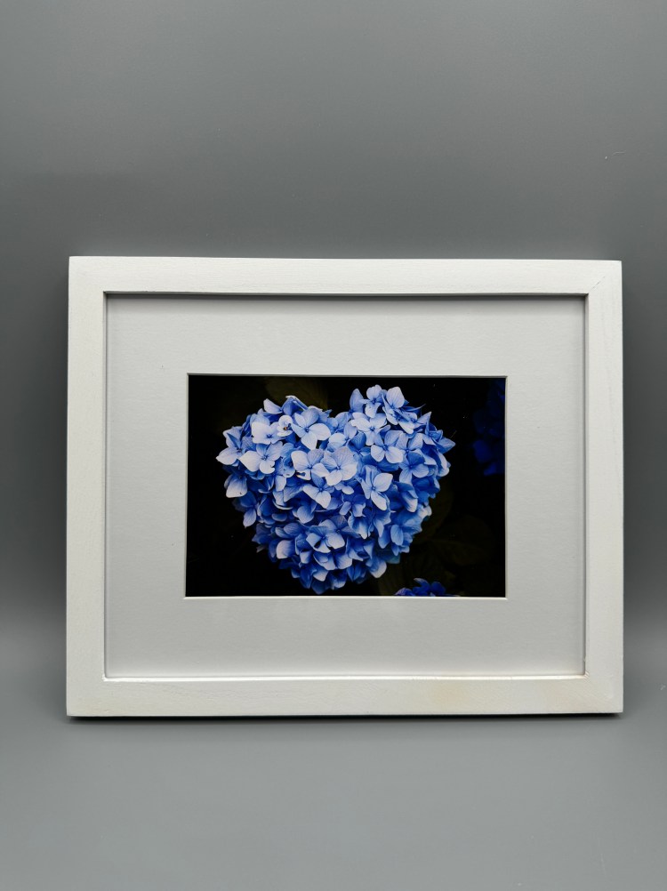 Light Blue Heart-Shaped Hydrangea -Framed Print
