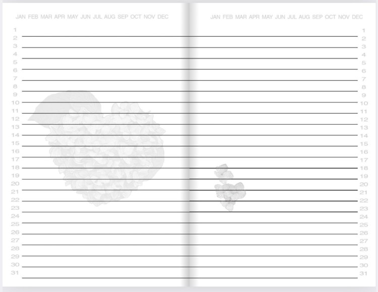 Journal pages featuring faded heart-shaped hydrangea, or floating hydrangea petals