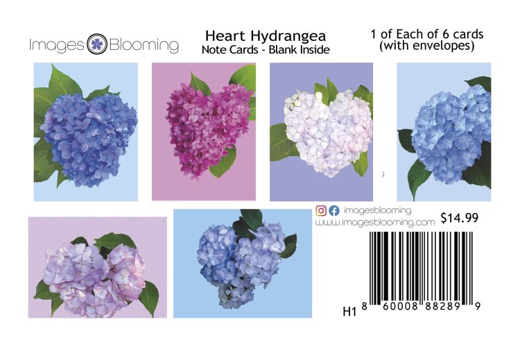 Variety of 6 Heart-Shaped Hydrangea Note Cards